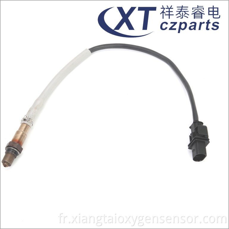 Magotan Oxygen Sensor